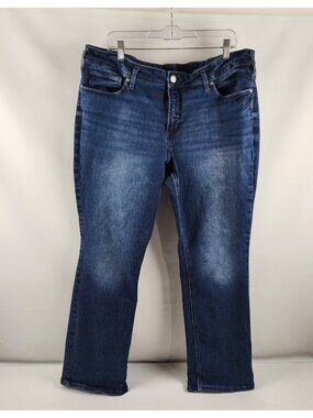 Silver Jeans Co. Jeans Womens 20/33 Blue Elyse Slim Boot Plus Denim (40x32)